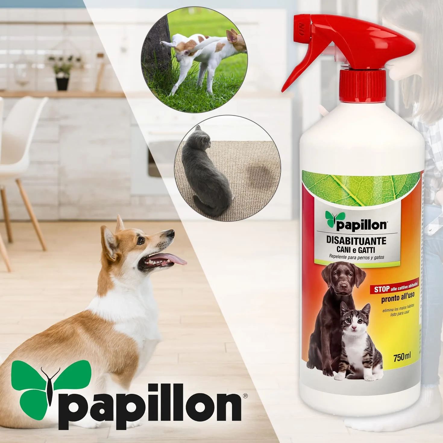 PAPILLON Repelente Orina Perros y Gatos (750 ml.) Antiorines perros, repelente orina perros, repelente orina gatos,