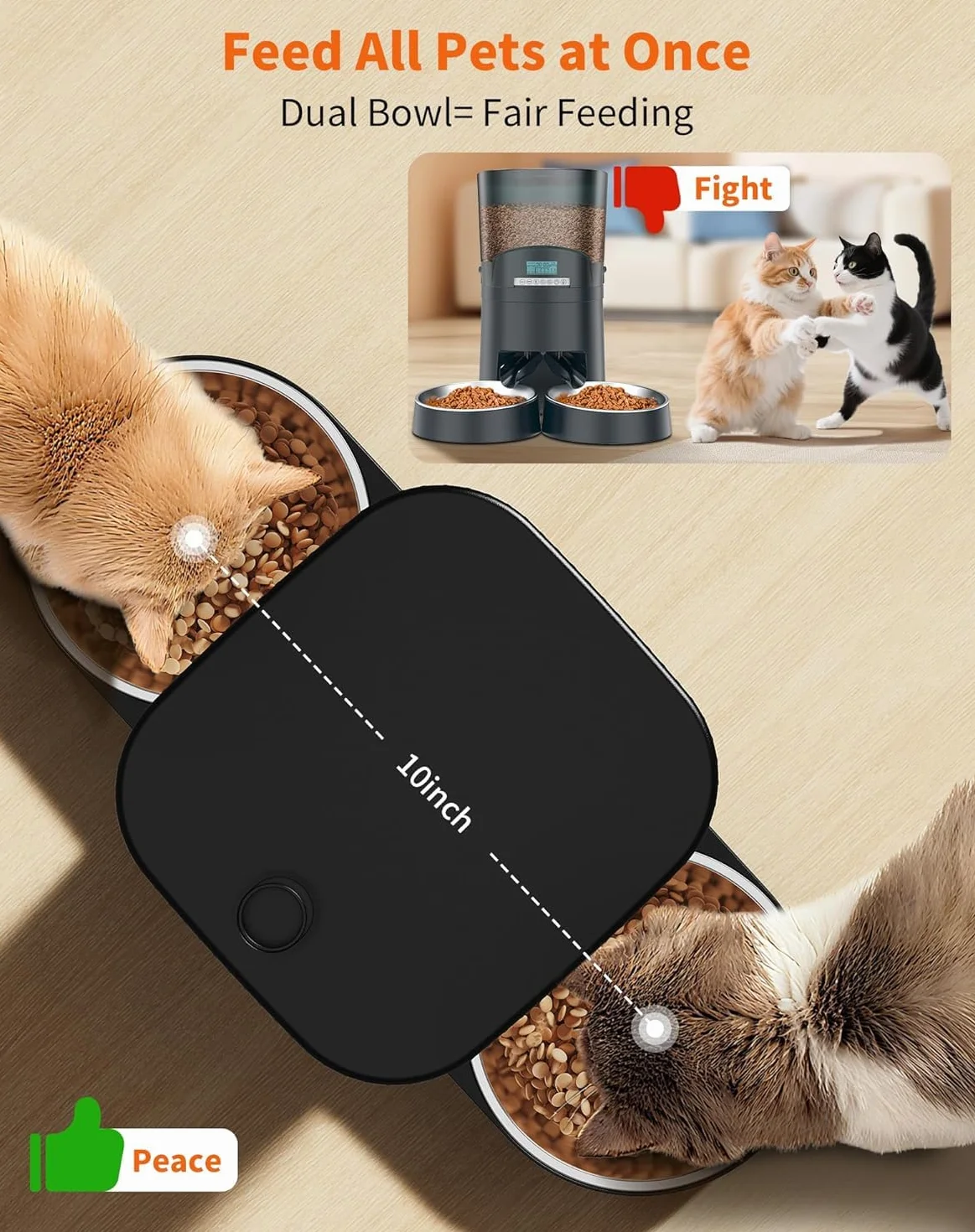 HoneyGuaridan Distributore Automatico Cibo Gatti, 3.5L Dispenser Crocchette Gatto con 4 ciotole, Programmable Porzione(6 Pasti/Giorno), Avviso vocale per i pasti, piedini antiscivolo
