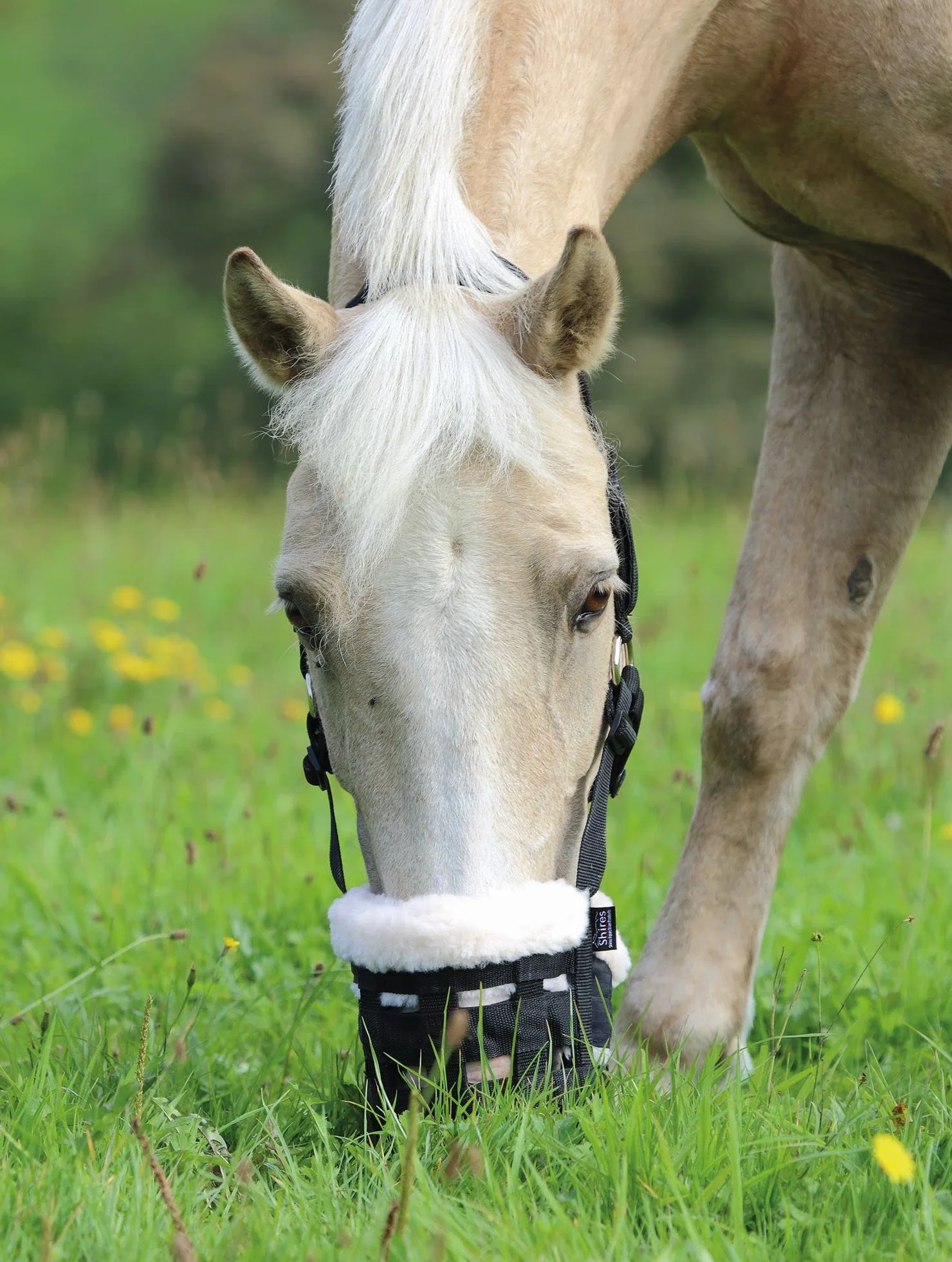 Shires Deluxe Comfort museruola da pascolo