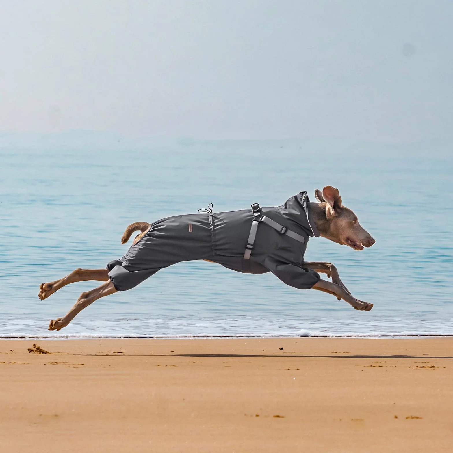 PAWBOSE Impermeabile per Cani con Imbracatura per Cani di Taglia Piccola, Media e Grande, Impermeabile Regolabile, Riflettenti, 4 Gambe, Bei Vestiti per Cani per l'estate, Grigio, 4XL