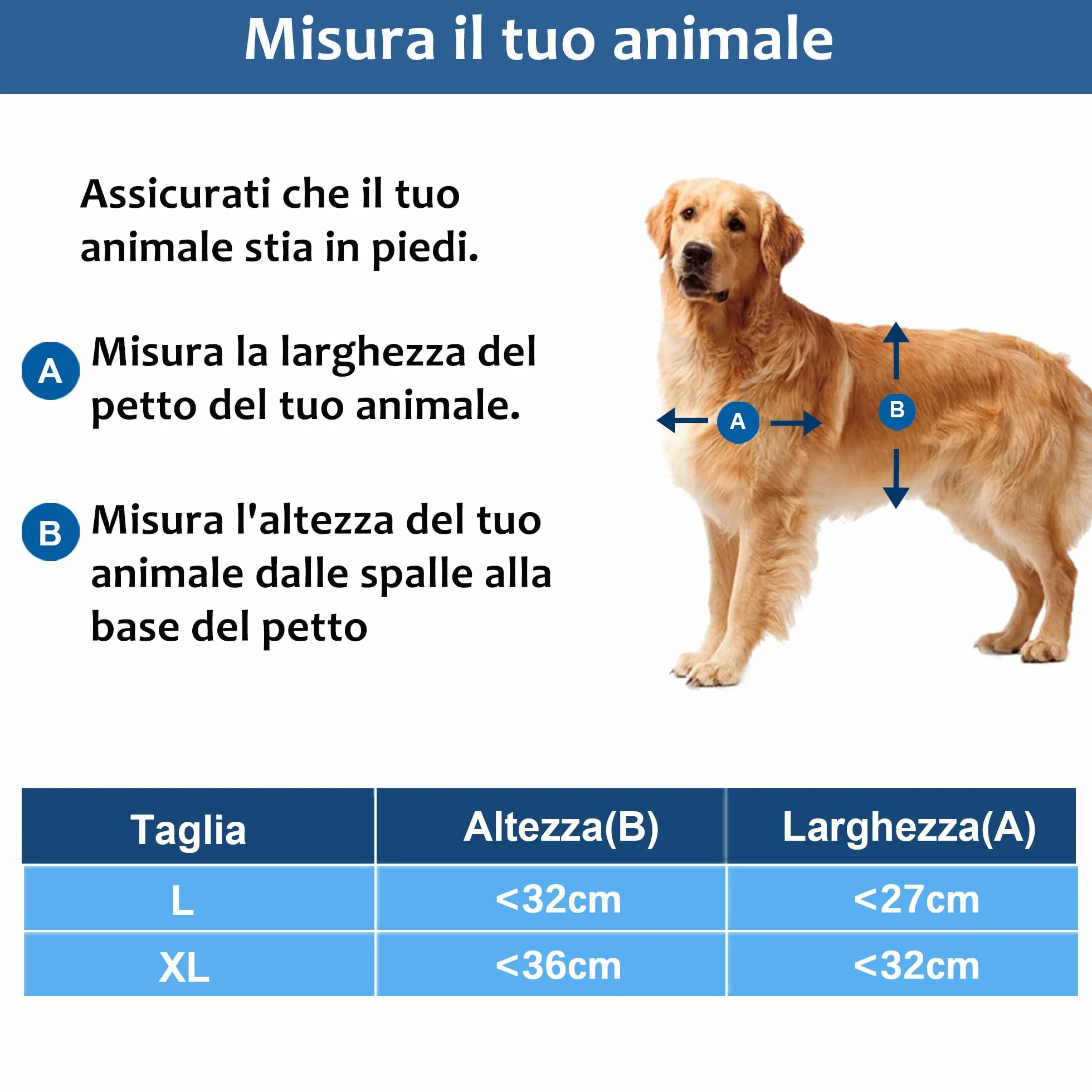 CEESC Porta per cani con patta magnetica trasparente morbida per cani di taglia grande XL nero