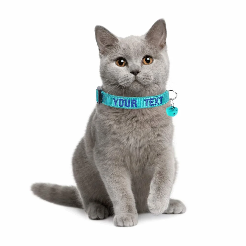 Collare personalizzato per gatti Breakaway personalizzato con campana, fibbia a scatto di sicurezza, nome identificativo ricamato sul colletto per gattini 26,5-29,5cm Adjustable multicolore