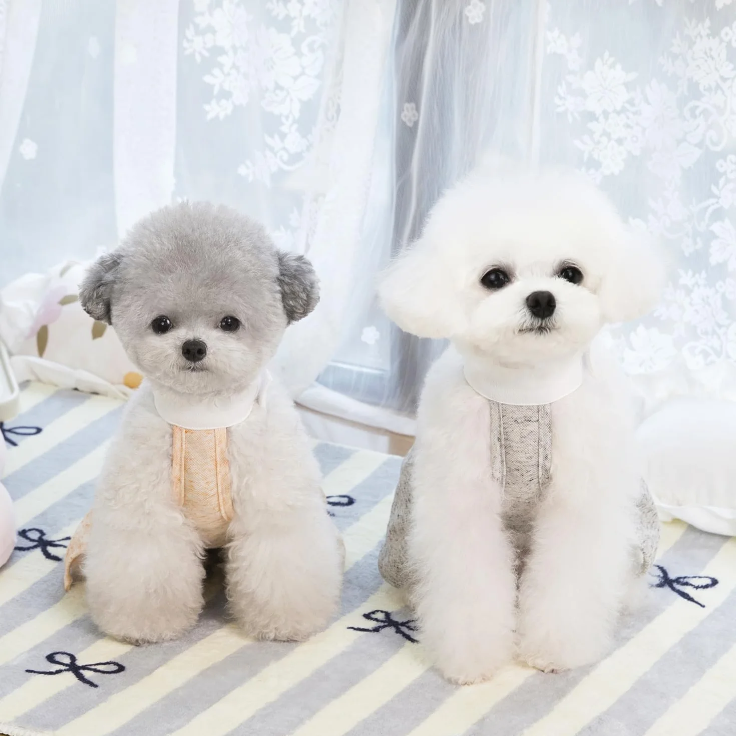 3 Pezzi Abiti per Cani Cucciolo di Lusso Principessa Angelo Ali Pure Vestiti Abito da Sera Abito da Sera Gonna Estiva Vestito per Cani per Piccola Taglia Ragazza