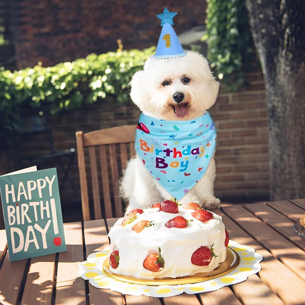 Compleanno Cane Bandana con Cappello Numeri HMCEY Cappellini Festa Animali Domestici Blu