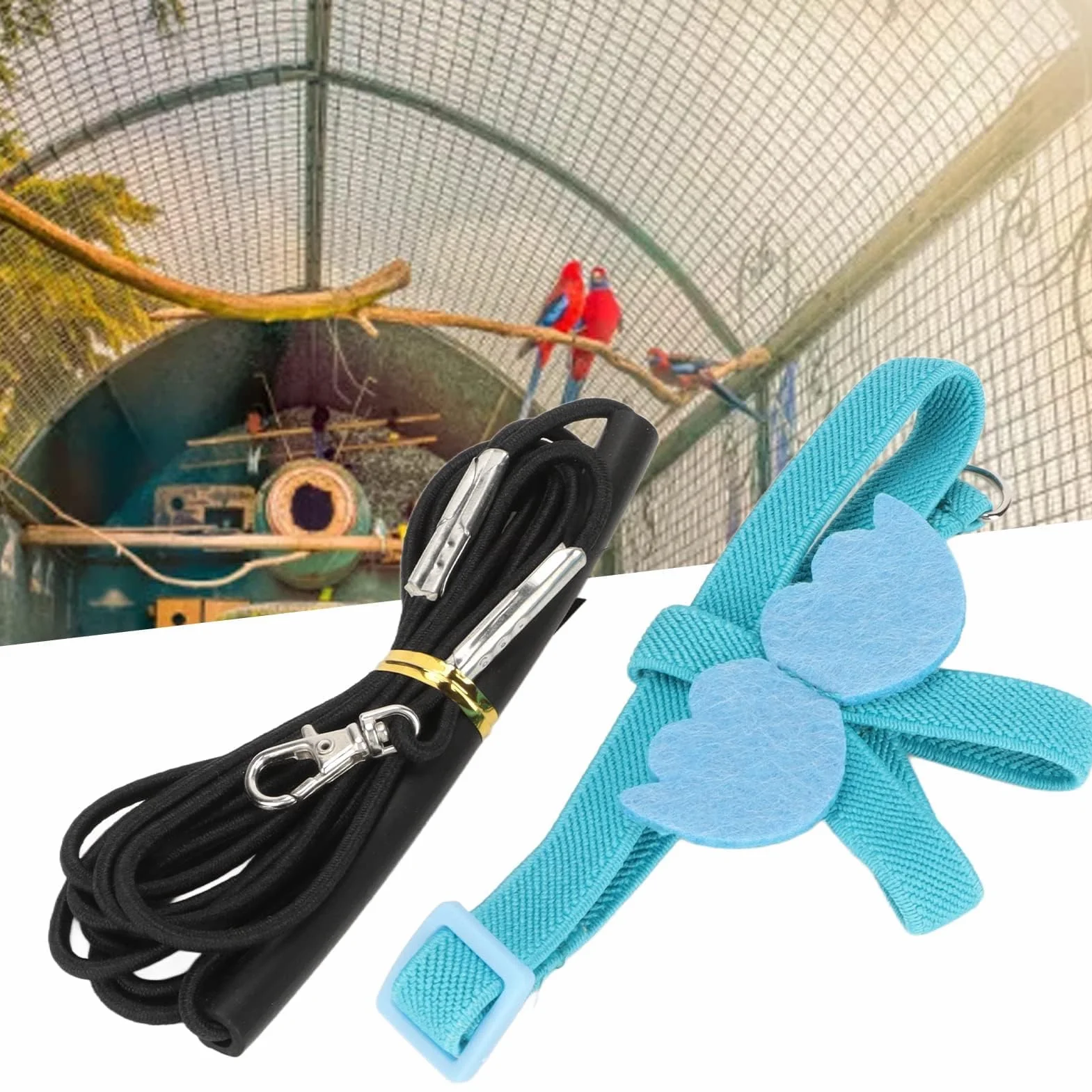 Imbracatura e Guinzaglio per Pappagalli, Piccione e Uccelli, Regolabile per Addestramento all'Aperto, Blu