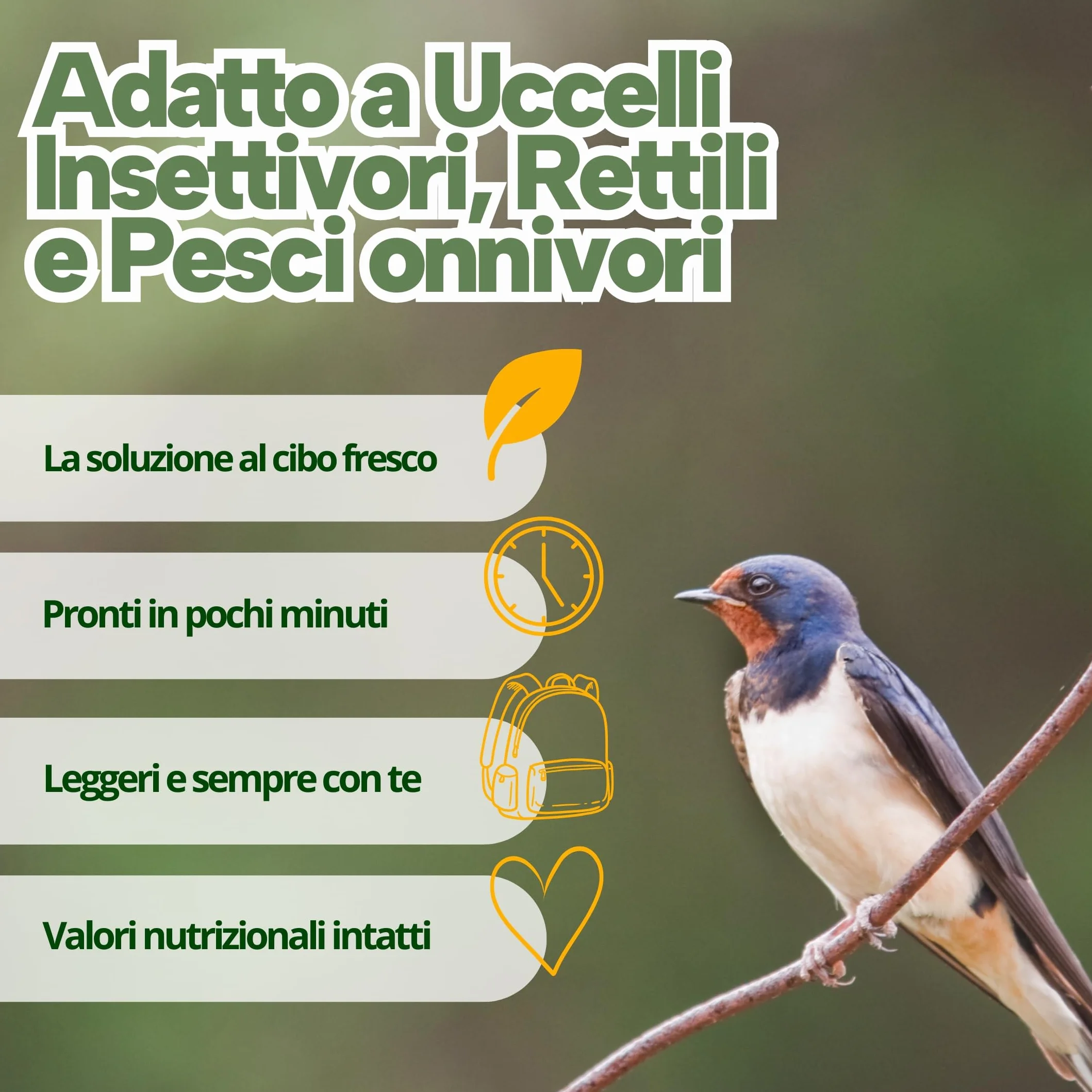 Grilli Liofilizzati 500ml Mangime Uccelli Selvatici Rondini Rondoni Balestrucci Insettivori