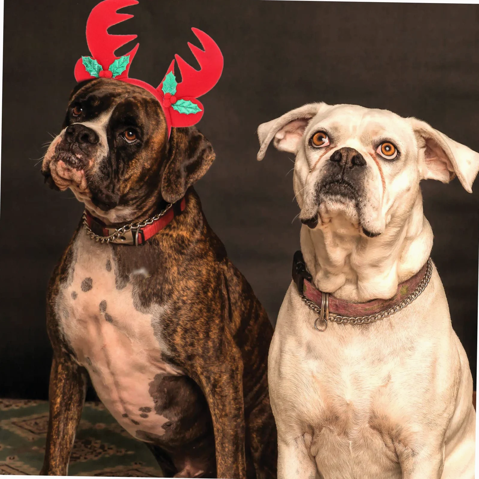POPETPOP 3 Set di Bandane Natalizie per Cani Sciarpe E Foulard Riutilizzabili E Lavabili Accessori per Cani