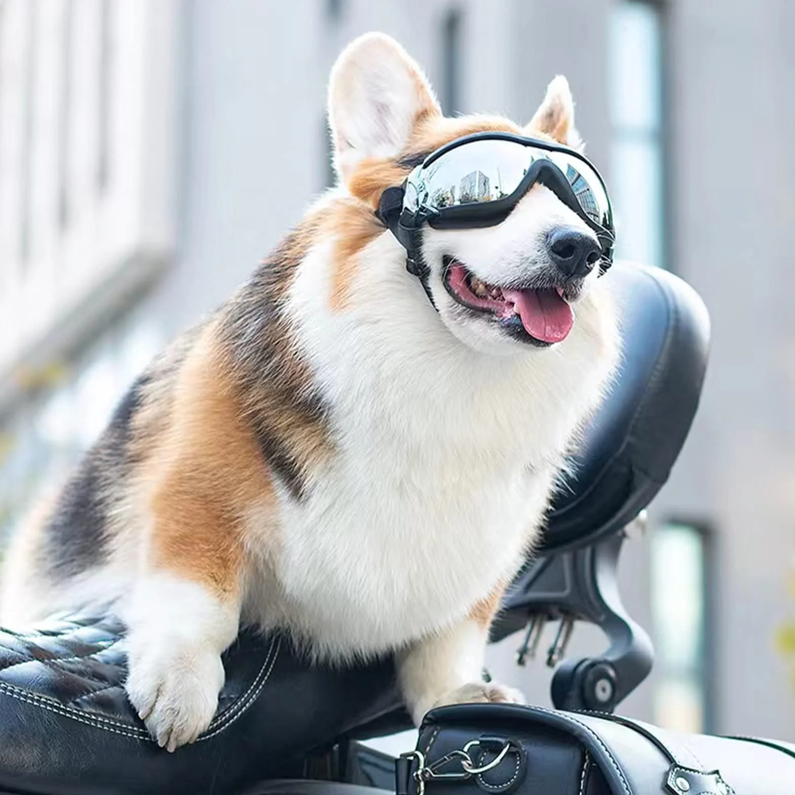 Occhiali per cani, occhiali da sole per cani con cinturino elastico, occhiali UV per animali domestici, proteggono gli occhi del cane da raggi UV, vento, polvere nebbia, razza media/grande