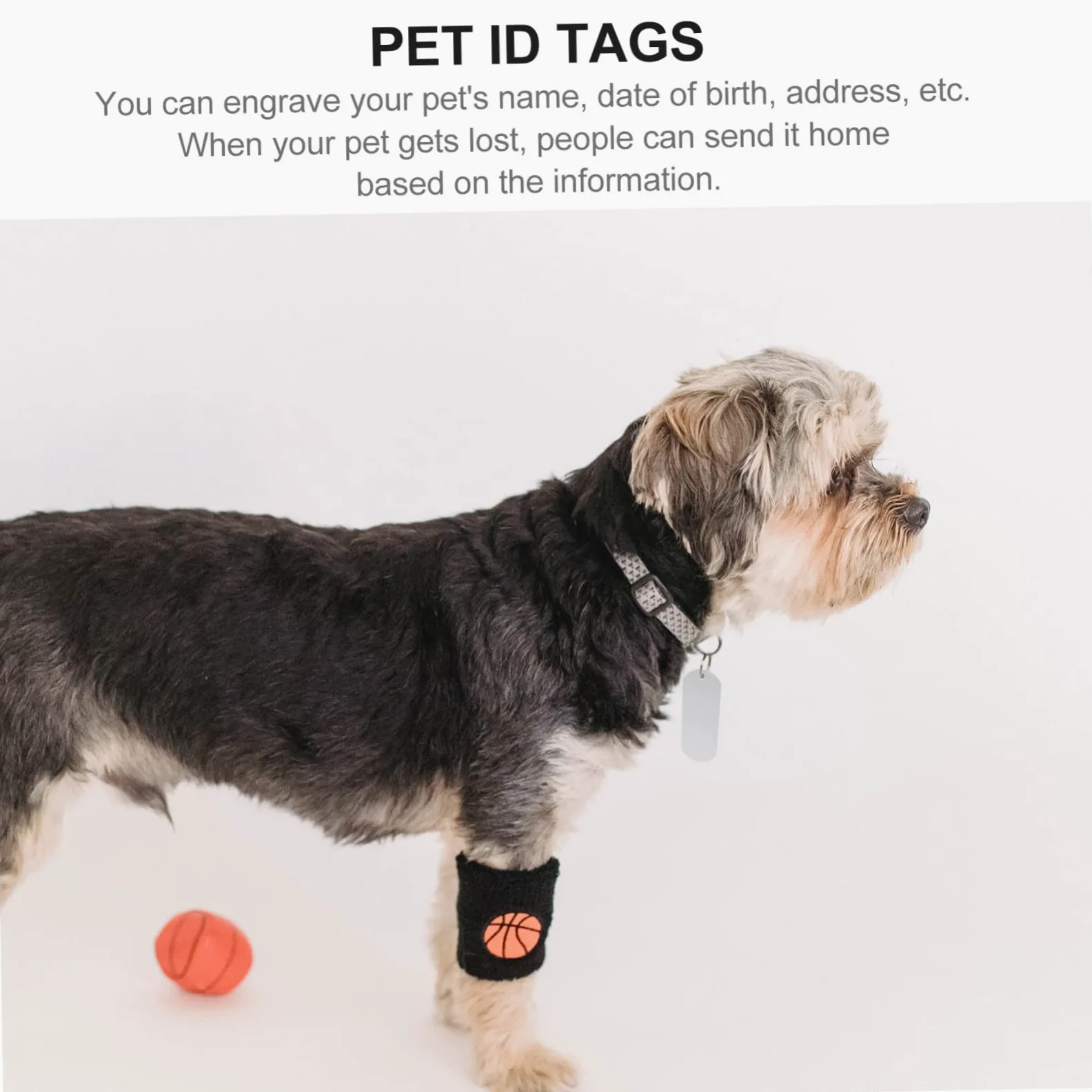 ifundom 3 Set Tag Di Identificazione Del Cane Targhetta Identificativa Per Animali Domestici Etichetta Cucciolo Tag Del Cane Tag Id Cani Gatti Silver Alluminio 20 Pezzi*3