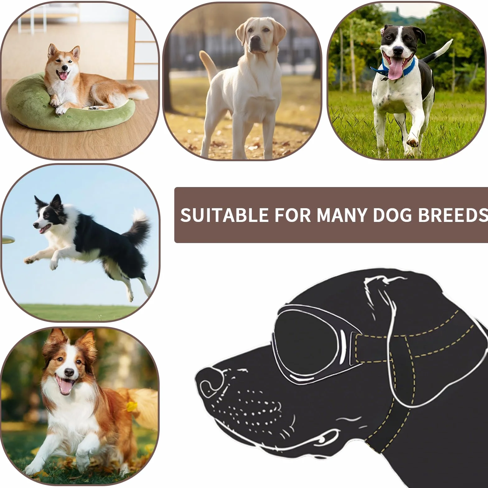 Occhiali da Sole per Cani, Retrò Occhiali Cane, Protezione UV Occhialis da Sole Cane, Fascia Elastica Regolabile, Pieghevole Pet Dog Occhialis Protezione, Adatto a Cani di Taglia Media e Grande