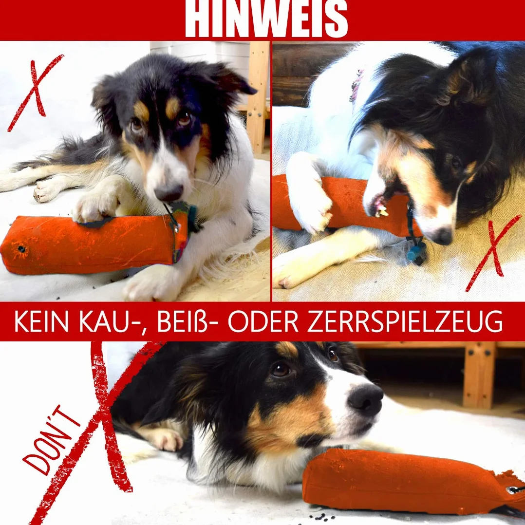 Romneys standard Dummy, 500 g – Realizzato in materiale molto resistente con maniglia di lancio per allenamento dei cani