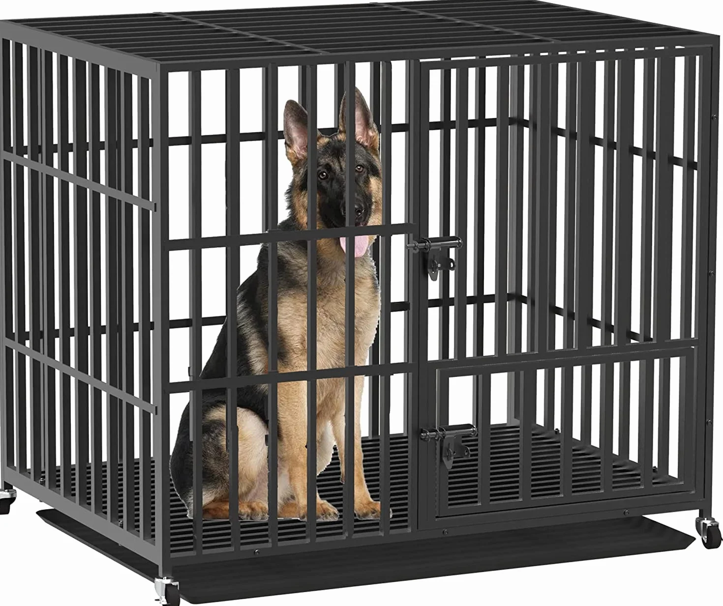 BingoPaw Gabbia Robusta per cani Antimorso: XXL Gabbia Rinforzata per cani di Grossa Taglia Grande Kennel Cane con Ruote Interno Resistente Metallo Struttura Pesante, 2 Chiavistelli 117x84x 86,5cm