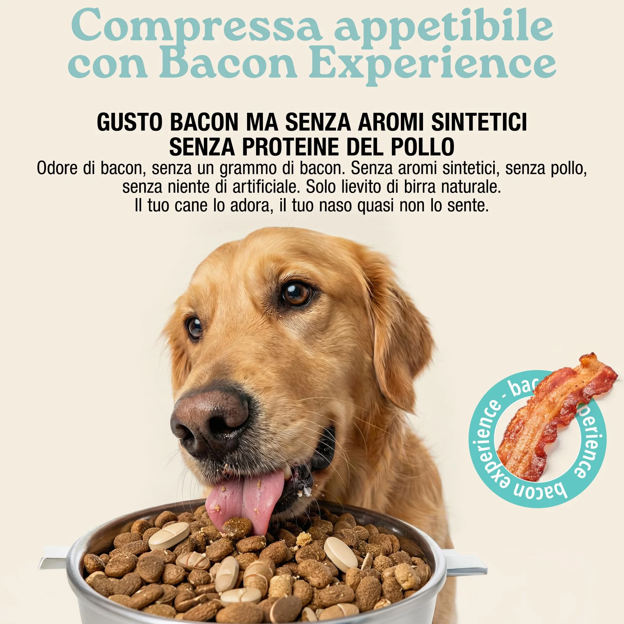 MyPetPrime Articolazioni Cane Mangime Complementare 125 Compresse | Nuova Formula JointSupport con MSM, Polvere di Cozza Verde, Glucosamina, Condroitina e Artiglio del Diavolo