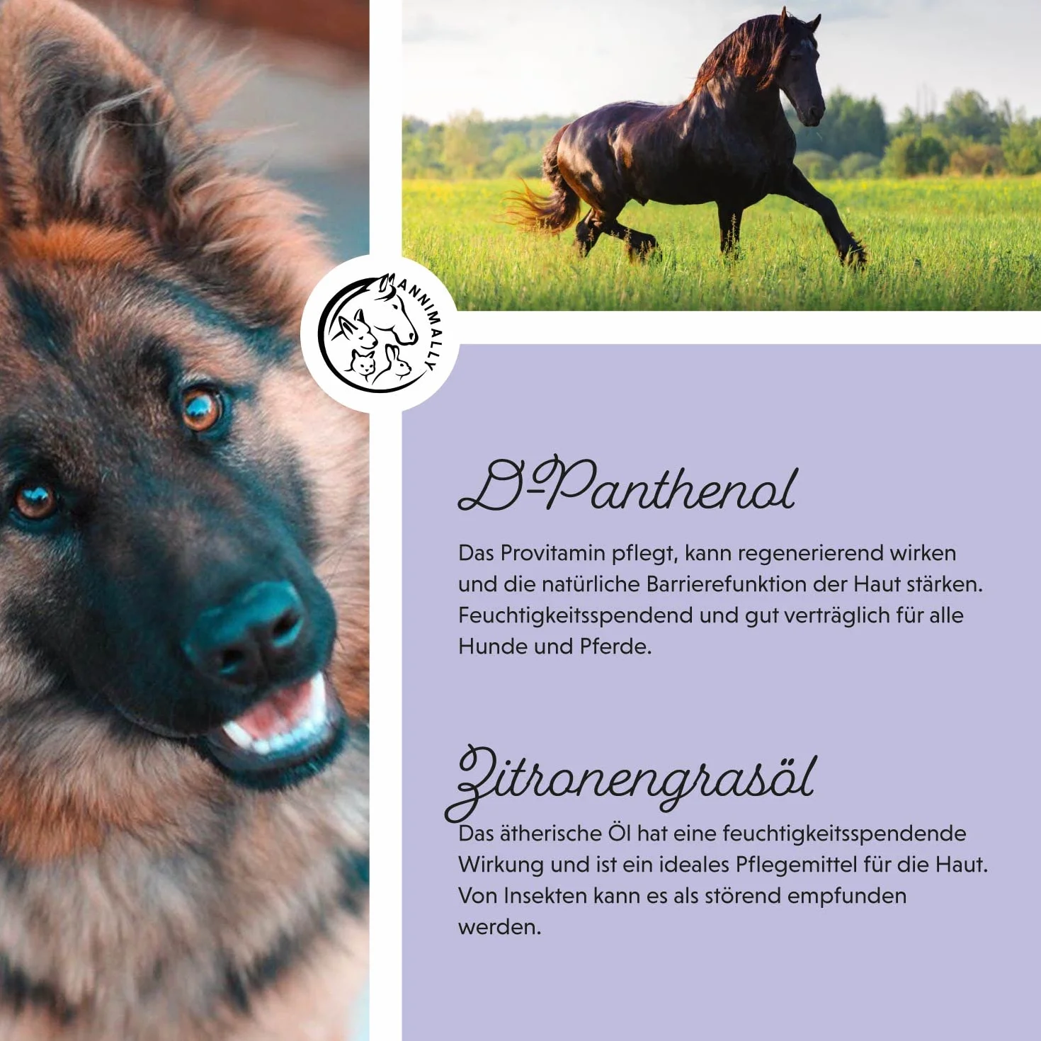 Annimally Spray per Criniera per Cavalli 500 ml - Spray per Coda e Spray Districante per Cavalli e Cani per un Pettinaggio più Facile e una Lucentezza Setosa del Pelo