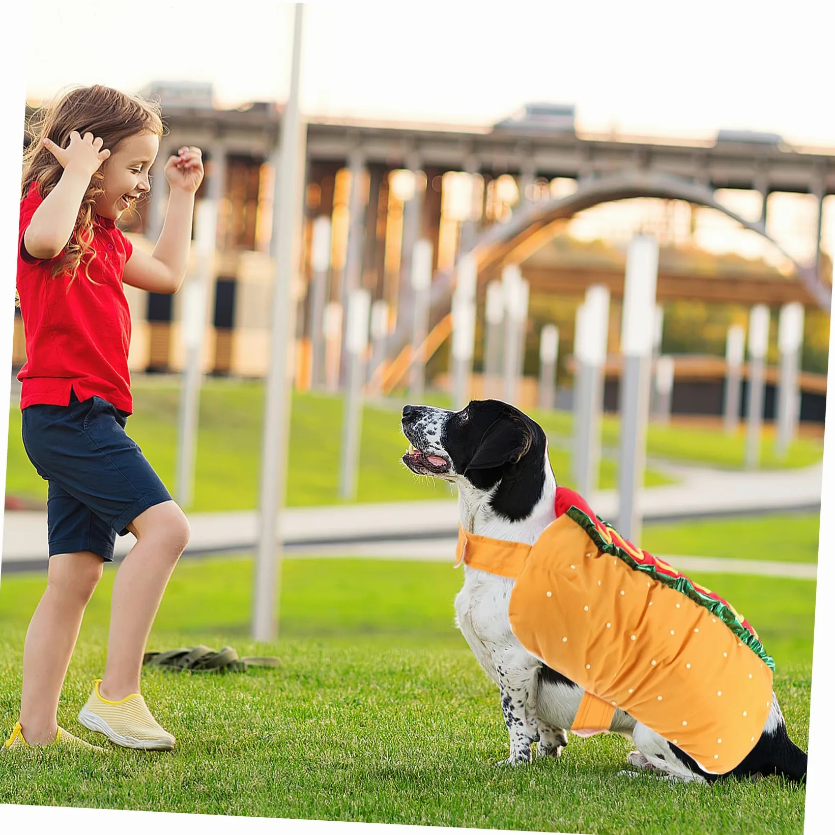 Costume Natalizio in Poliestere Leggero e Comodo per Feste e Carnevale per Animali Domestici
