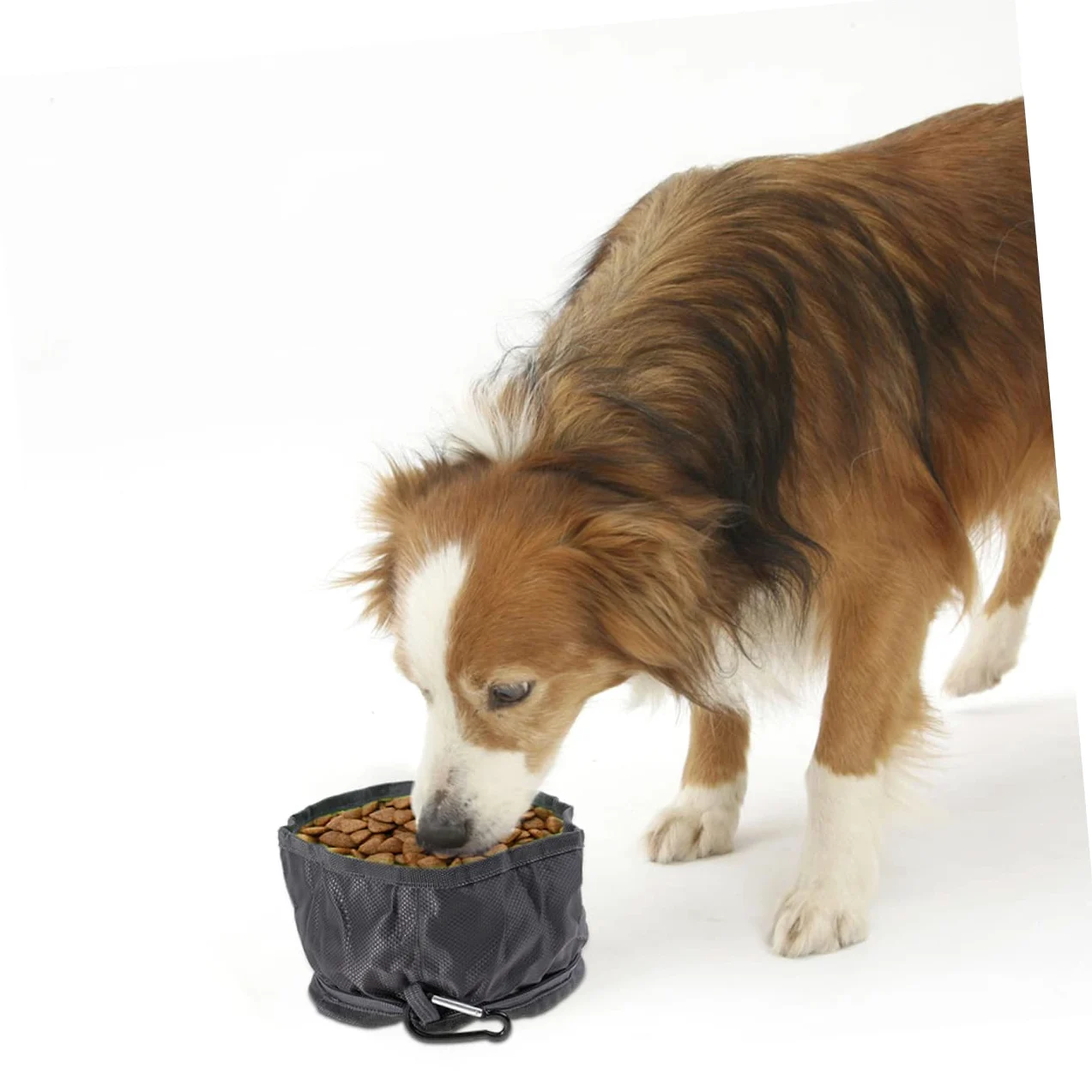 BESPORTBLE 3pezzi Ciotola Portatile Per Animali Domestici Ciotola Antigoccia Per Cani Movimento e Attività Outdoor Interni Casuali