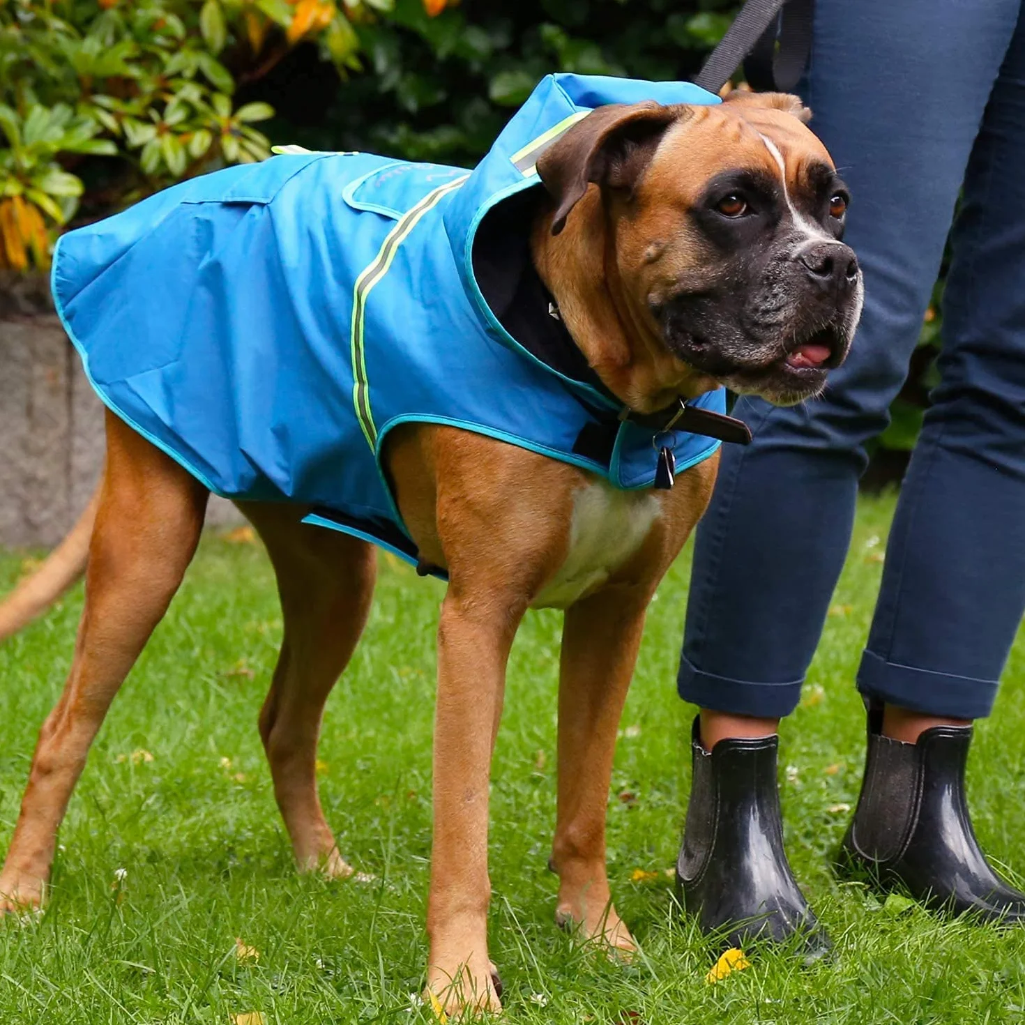 Bella & Balu Impermeabile Cappotto Cane Taglia Grande con Cappuccio e Catarifrangenti Poliestere Regolabile Grigio L