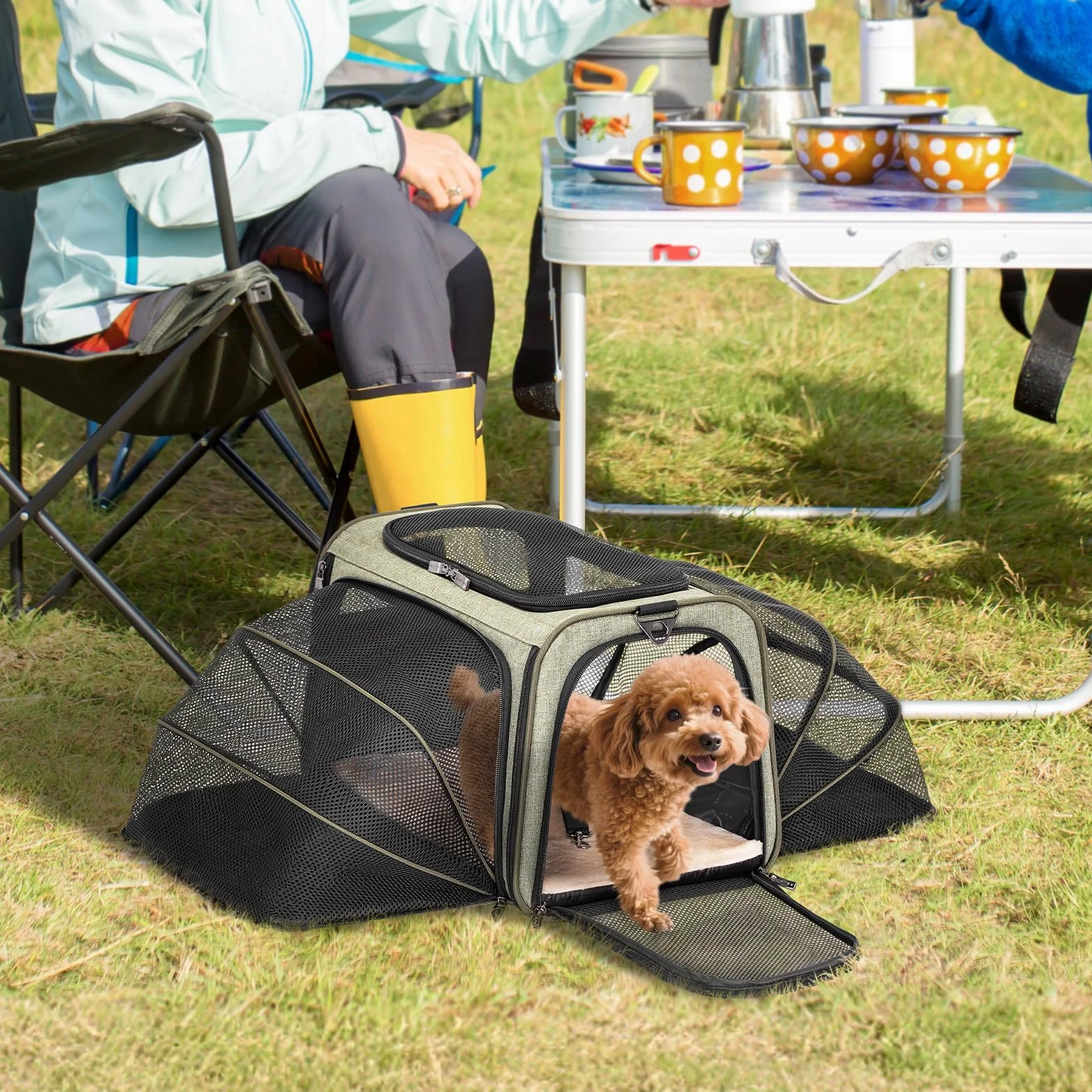 Petsfit Trasportino per gatti, espandibile, comodo trasportino pieghevole su due lati con tappetino in pile, trasportino per cani aperto nella parte superiore. Verde