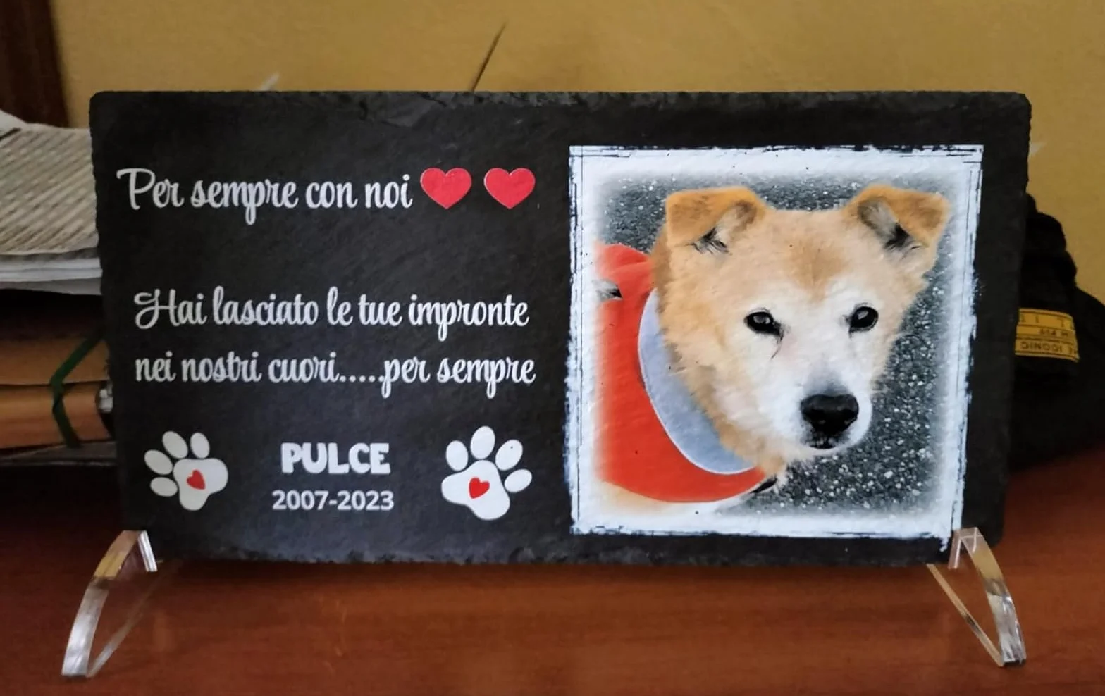 Lapide commemorativa per Cane e Gatto personalizzabile in Pietra con Foto Rettangolare 32,5x17,6cm