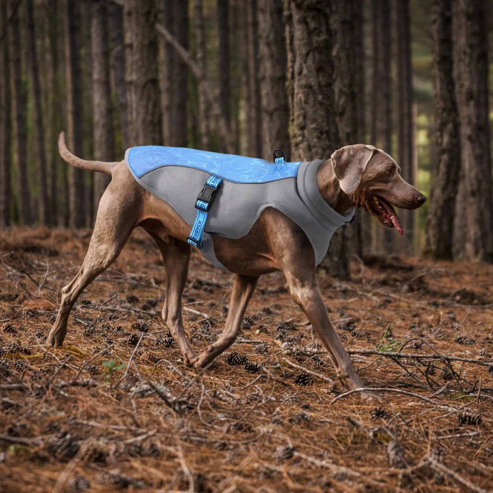 Gilet Rinfrescante per Cane Leggero - Pettorina Refrigerante UV per Spiaggia, Traspirante Cappotto Raffreddamento Estivi (Verde M)