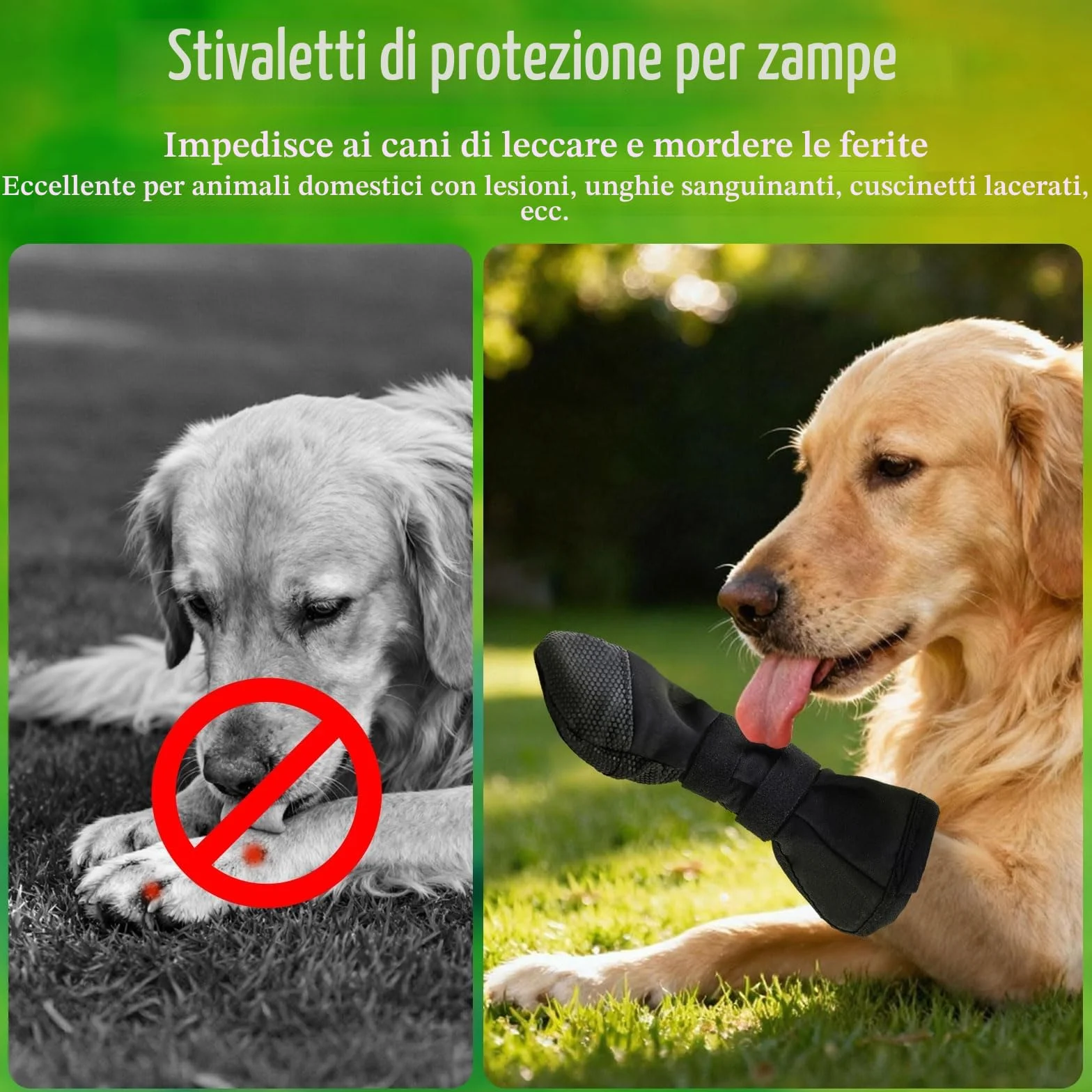 Scarpe per Cani Impermeabili con Protezione Zampe, Calze Antiscivolo e Traspiranti per Recupero