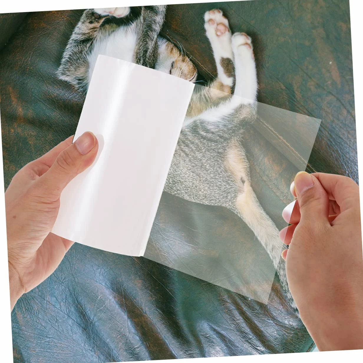 Ipetboom Nastro AntiGraffio Sostituibile per Mobili 15 * 100cm Nastro Protettivo per Divano per Gatti
