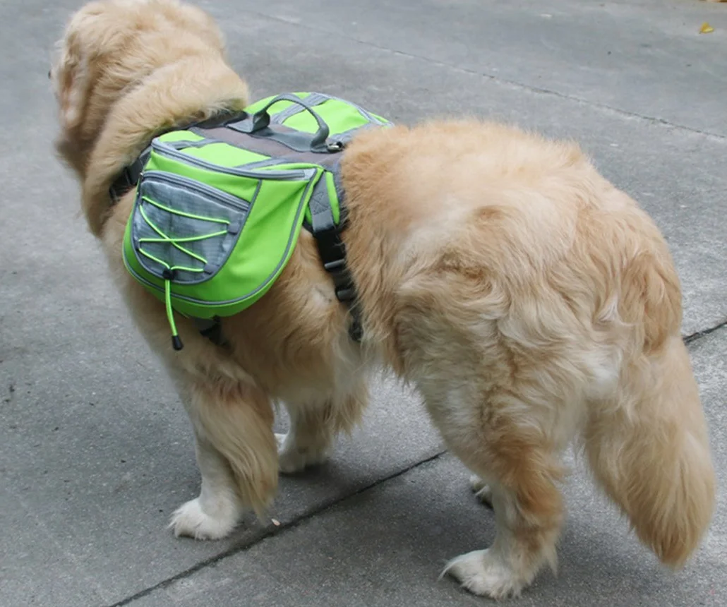 Xiaoyu Zaino per cani, porta bretelle a sella regolabile, per il viaggio campeggio trekking, verde, L