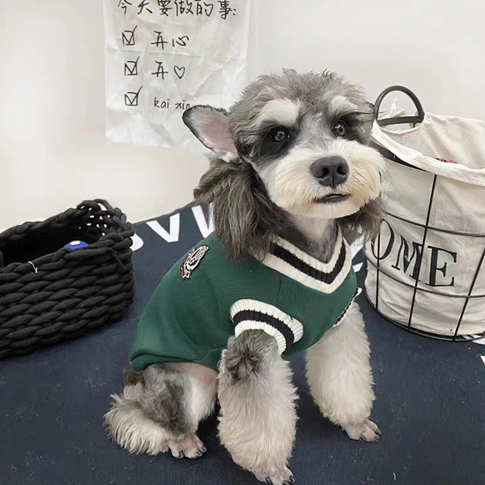 Maglione Cane Taglia Piccola Inverno, Cappottino Caldo con Interno in Pile per Cani, Verde e Rosso, M