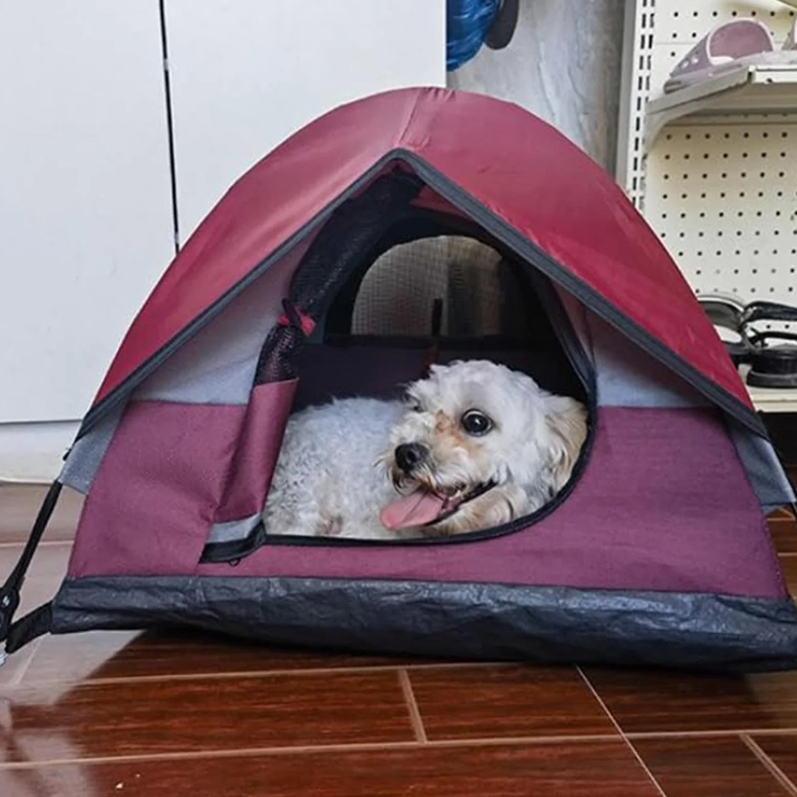 Generico Tenda da per gatti, Tenda da per gatti per da campeggio | Tenda per gatti impermeabile Tenda per animali domestici da esterno per cuccioli, cani, animali di piccola tagl