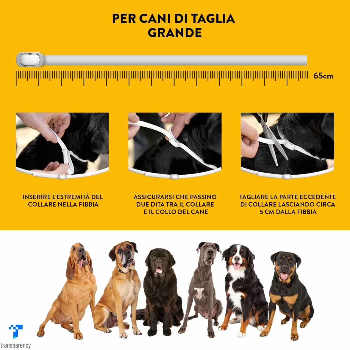 Scalibor Collare 65 cm MSD Animal Health