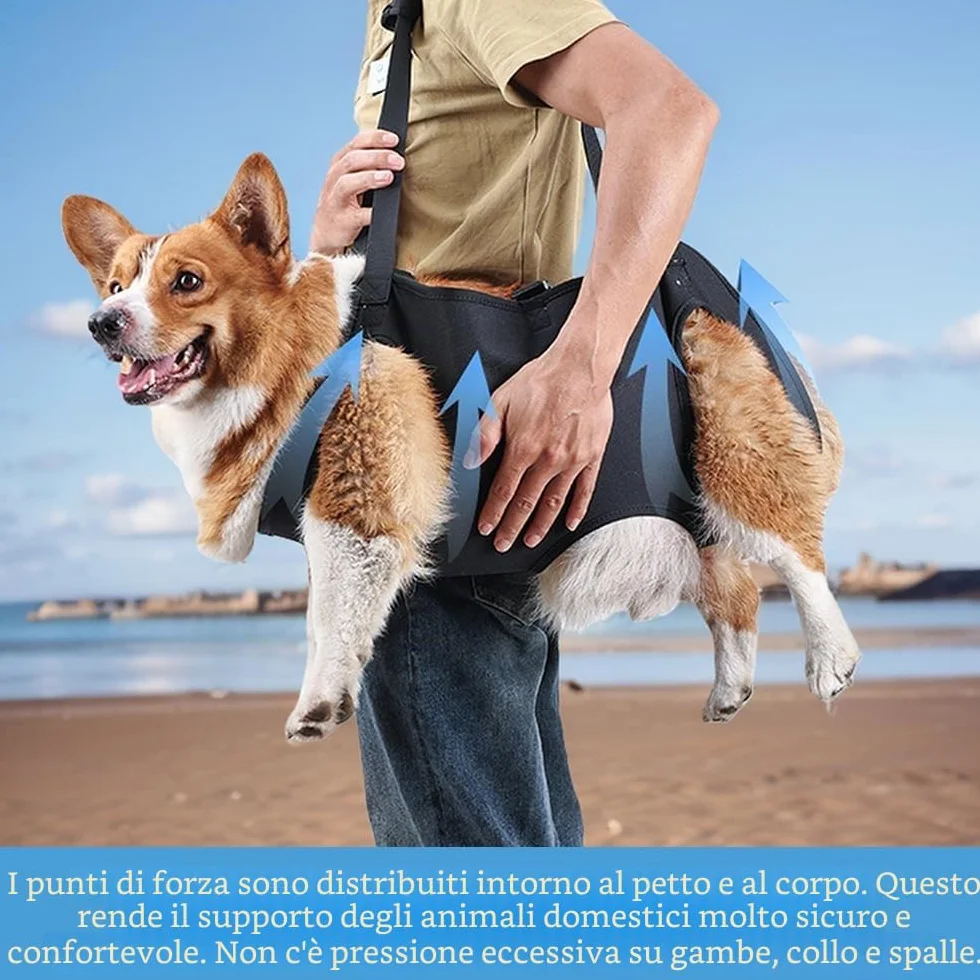 Imbracatura Cani Supporto e Recupero Zampe Animali Domestici Vestibilità Regolabile per Cani Anziani Artrite (M)