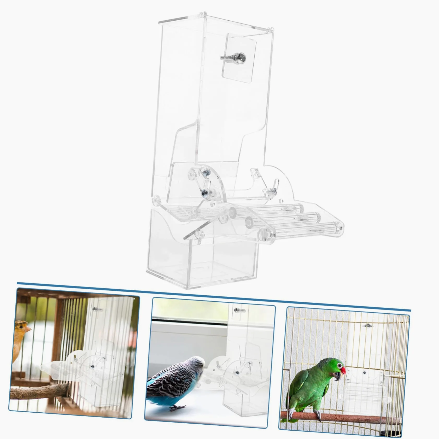 Mangiatoia Automatica Per Uccelli in Acrilico Con Posatoio Rimovibile, Contenitore Per Cibo Uccelli Piccoli, Adatta Per Gabbia Pappagalli, Calopsitte e Canarini