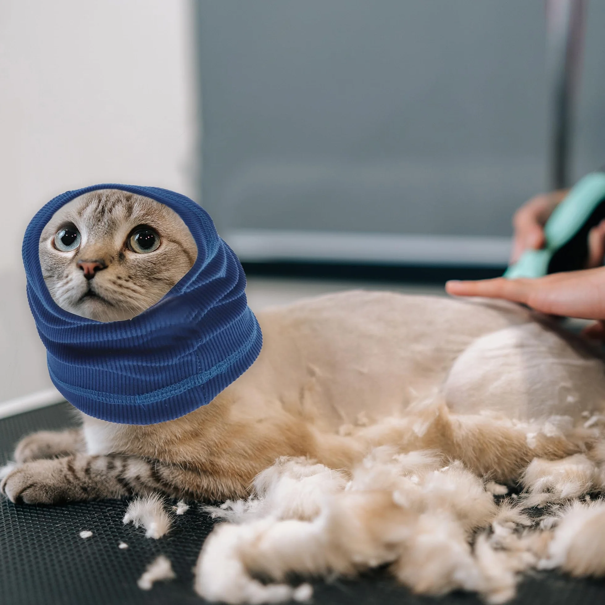 Cuffie Antirumore per Cani Fascia Protettiva Orecchie Blu L