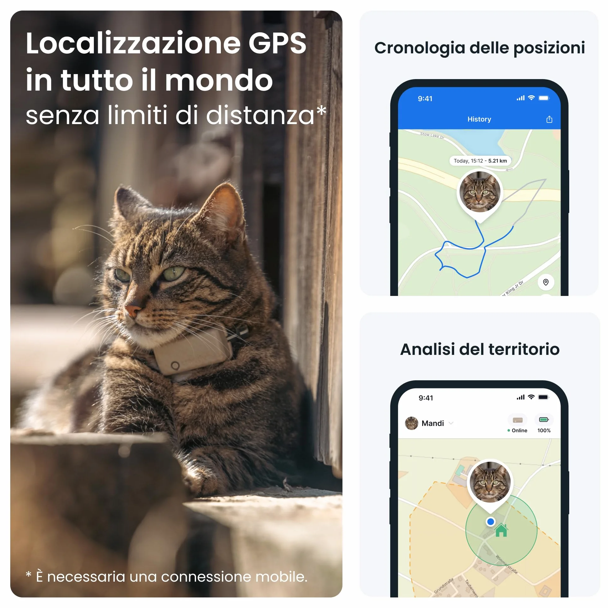 Tractive - GPS gatto modello Mini | N. 1 sul mercato | Localizzazione in tempo reale | Cronologia delle posizioni | Monitoraggio dell'attività | Collare incluso