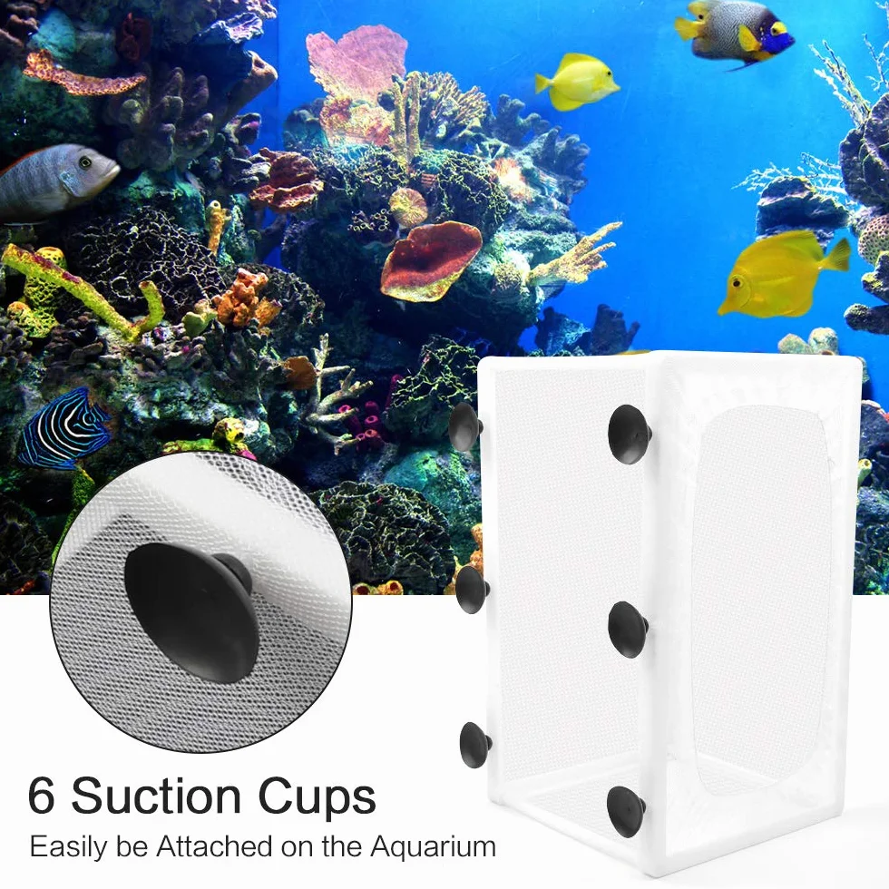 2 Confezioni Scatola di Allevamento per Acquario Scatola di Isolamento per Vivaio di Pesci Acquario Rete per Incubatoi con Ventose per Acquario