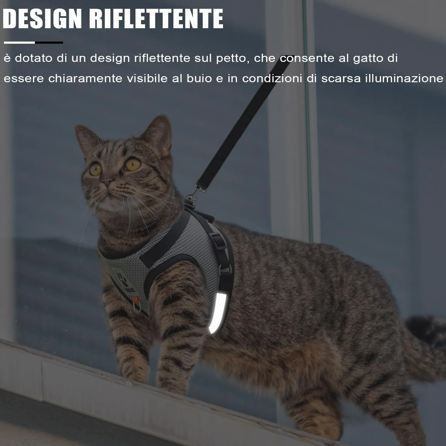Pettorina e Guinzaglio per Cani, Pettorina Riflettente per Cuccioli, Set di imbracatura e guinzaglio per cuccioli, gatti e gattini (Grigio, S)