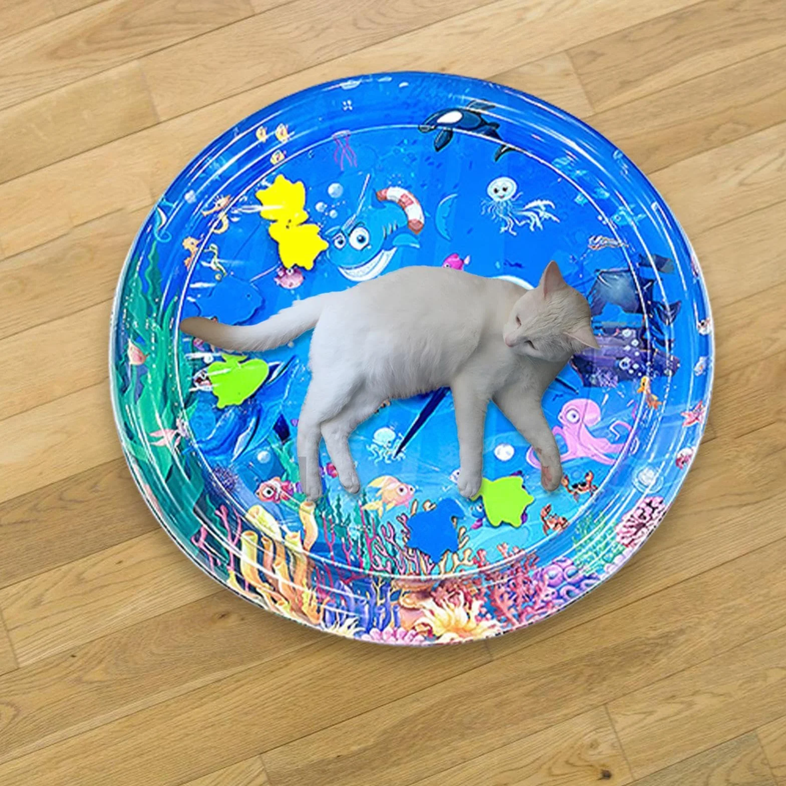 65cm Tappetino Sensoriale Per L'acqua Per Gatti, Tappetino Sensoriale Ad Acqua Per Gatti, Tappetino Rinfrescante Per Gatti Da Interni, Tappetino Da Gioco Con Sensore 'acqua Ispessito
