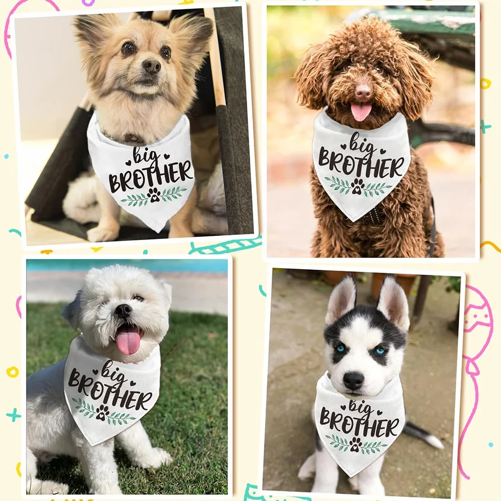 Bandana triangolare per animali domestici in cotone Big Brother