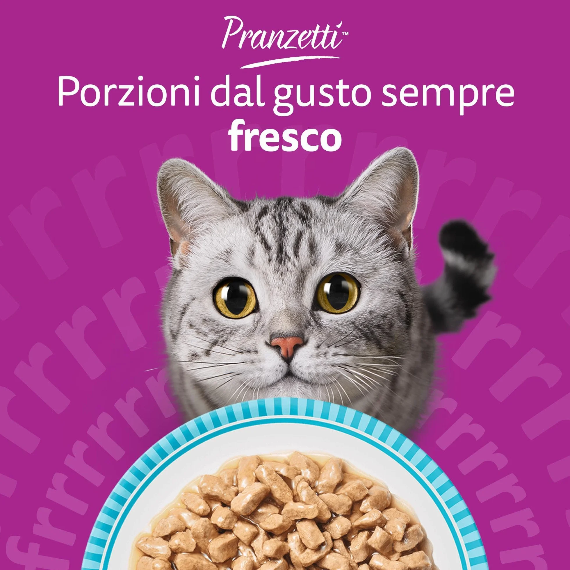 Whiskas Pranzetti Selezione di Pesce 1+ Adulto, Cibo Umido per Gatto, 12 Confezioni ognuna da 6 bustine x 50g (72 Pezzi in Totale)