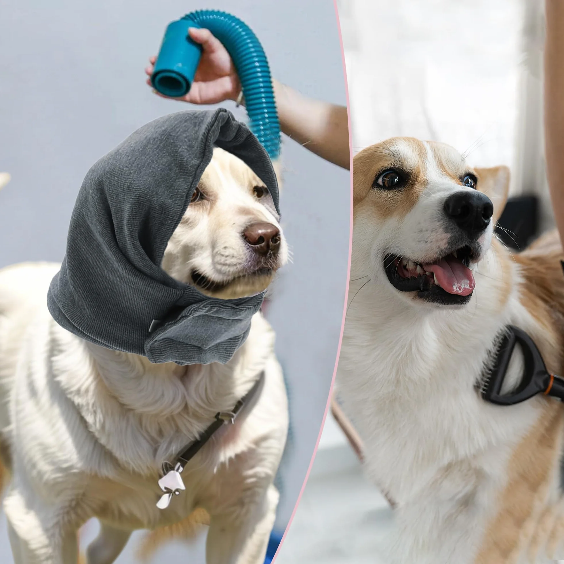 Cappuccio calmante per cani regolabile con nastri magici protezione orecchie toelettatura grigio