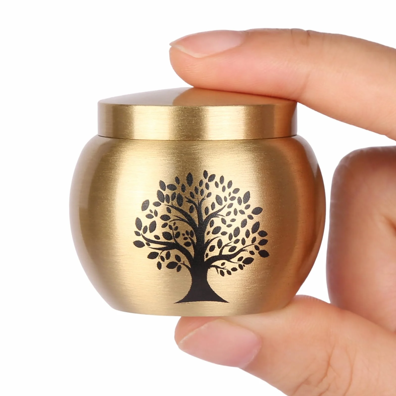 Set di 1 piccola urna per le ceneri umane, in ottone con motivo albero della vita, mini urna per ceneri adulte, donne, animali domestici, può contenere fino a 2,3 pollici cubi