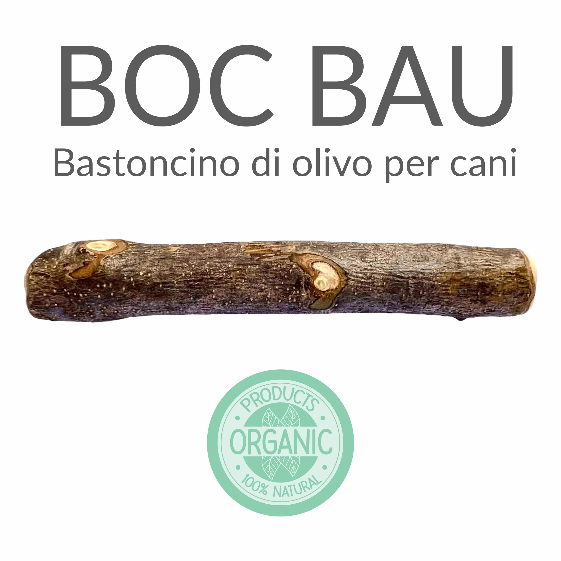 Bastone di olivo per cani da masticare in Legno Small 3 pz