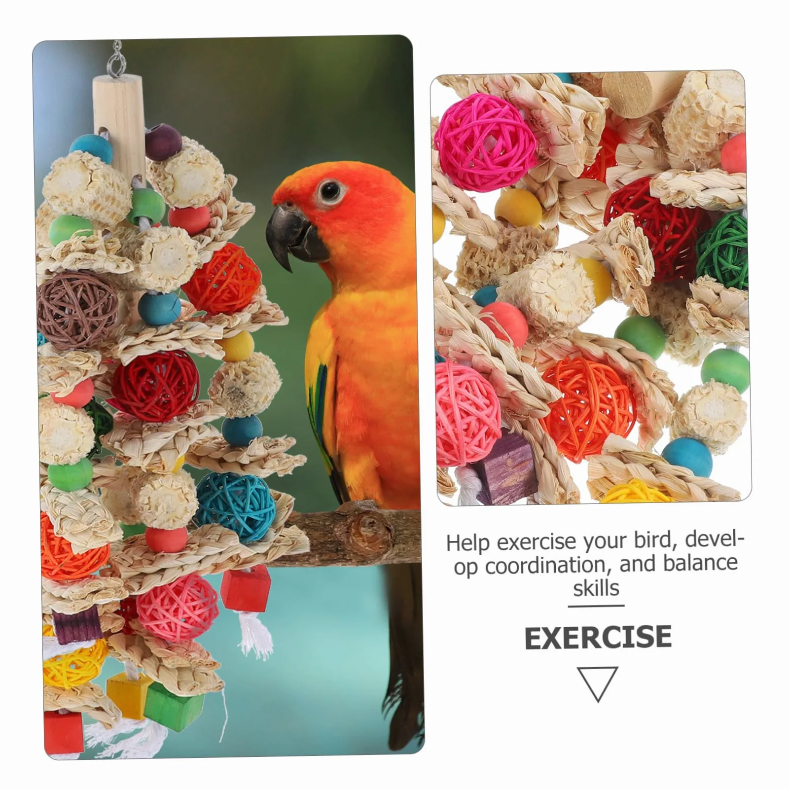 Angoily Giocattolo Per Uccelli Per Pappagalli e Parrocchetti Accessorio Per Esercizio e Riposo Giocattolo Da Masticare Per Uccelli Design Multiuso Per Pet Bird e Macaw