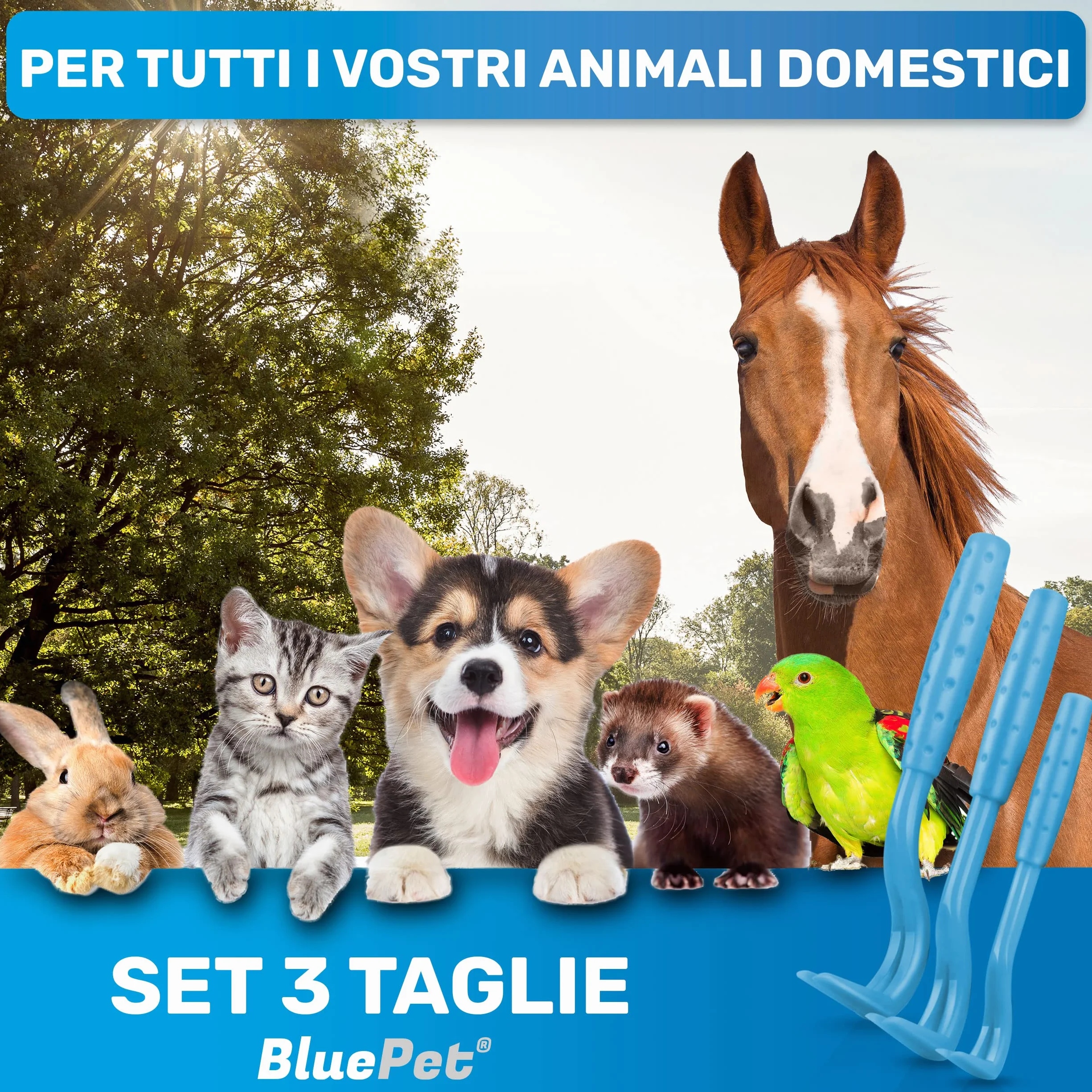 BluePet 3X Ganci per Zecche per Cani, Gatti, Cavalli e Umani - Rimuovi Zecche, Pinza per Zecche per Cane, Gatto, Uomo, Alternativa alle Pinzette per Zecche, Togliere Zecche e Tira Zecche