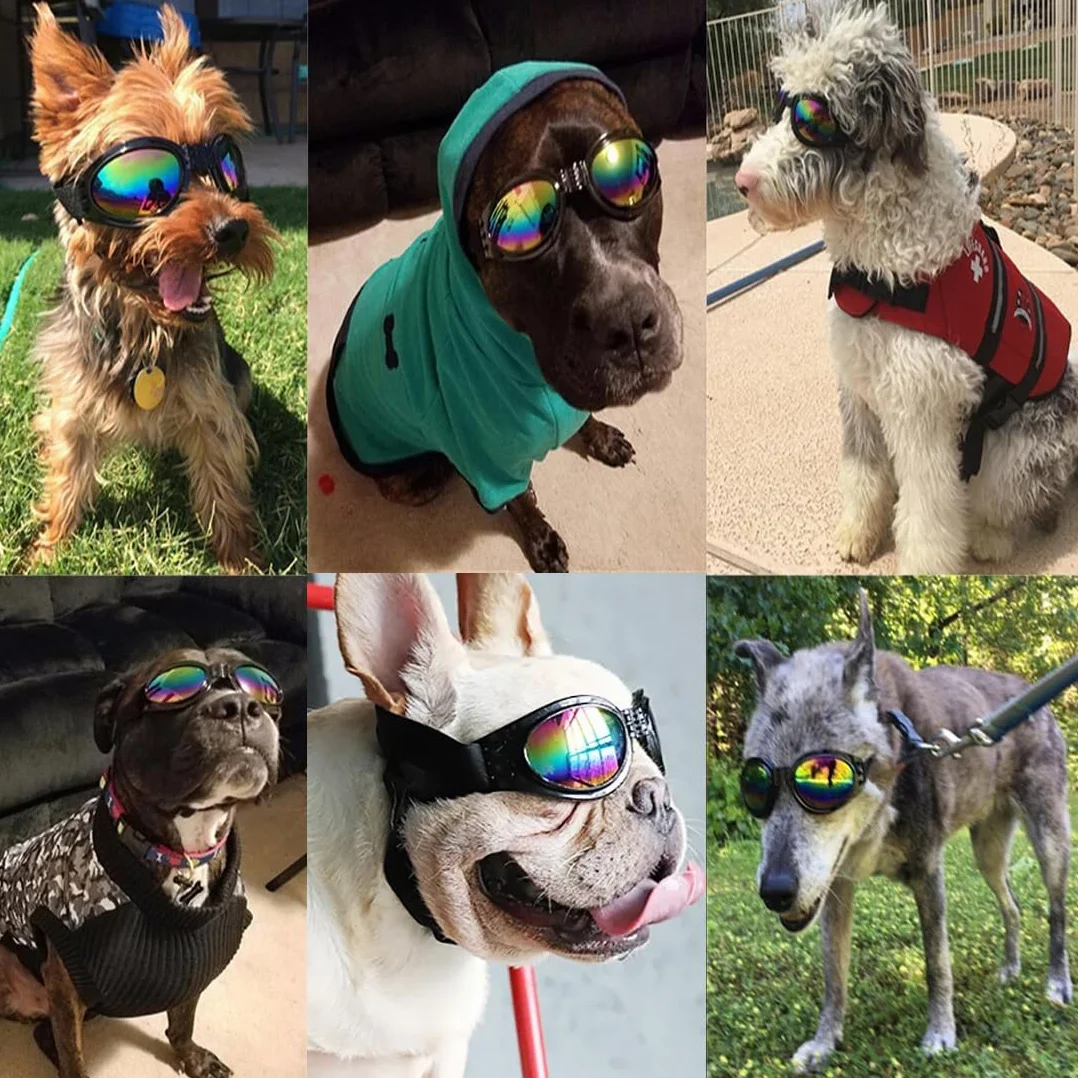 Occhiali Per cani, Occhiali da Sole Cani con Cinturini Regolabili, Accessori Cani Domestici Occhiali, Occhiali da Sole Cani， Protezione UV, Occhiali da Sole e Protettivi per Cani