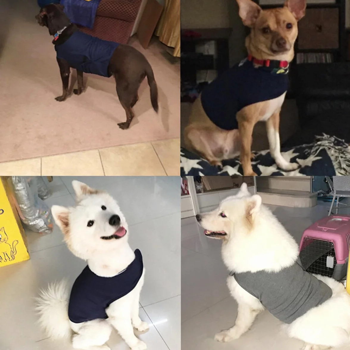 Haokaini Giacca per Cani Anti-Ansia Cappotto Calmante Camicia Antistress Giubbotto Caldo (Grigio Chiaro)