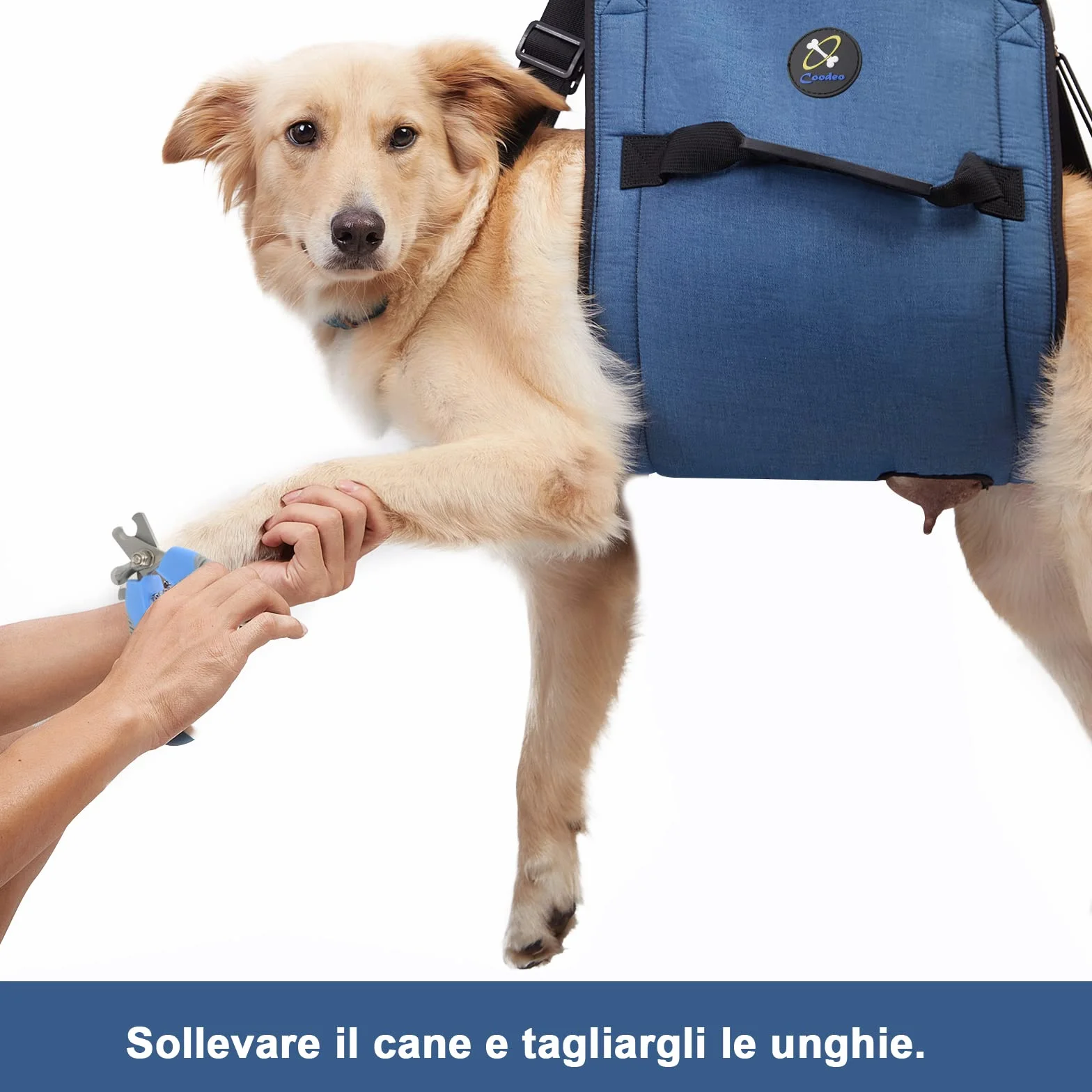 COODEO Dog Carry Sling, Pet Gambe Supporto Dog Lift Harness, Cane Carrier per Cani Artrite XL blu