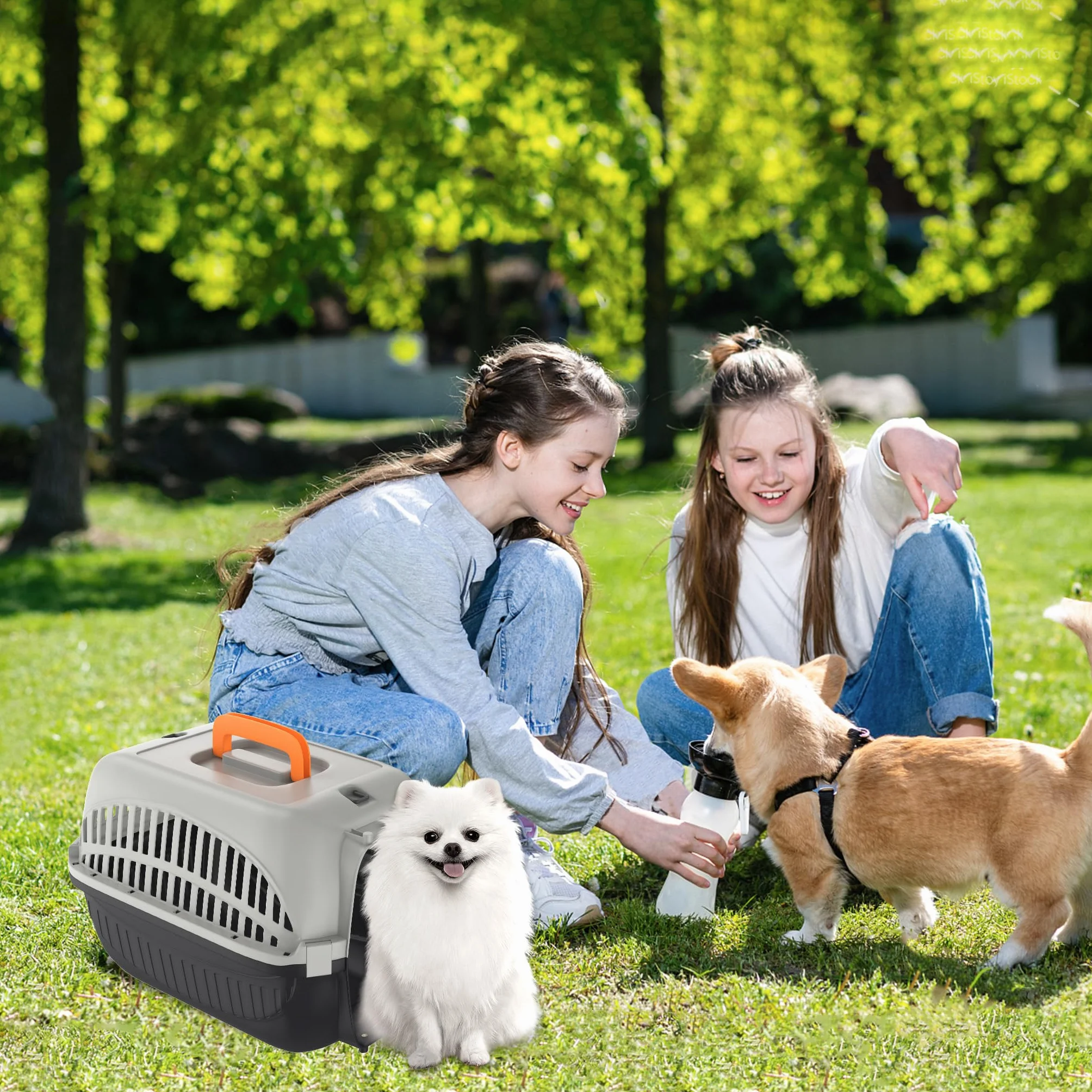 NAIZY Trasportino per cani e gatti, 48 x 32 x 32 cm, in plastica PP, con porta in ferro e prese d'aria, max. fino a 10 kg