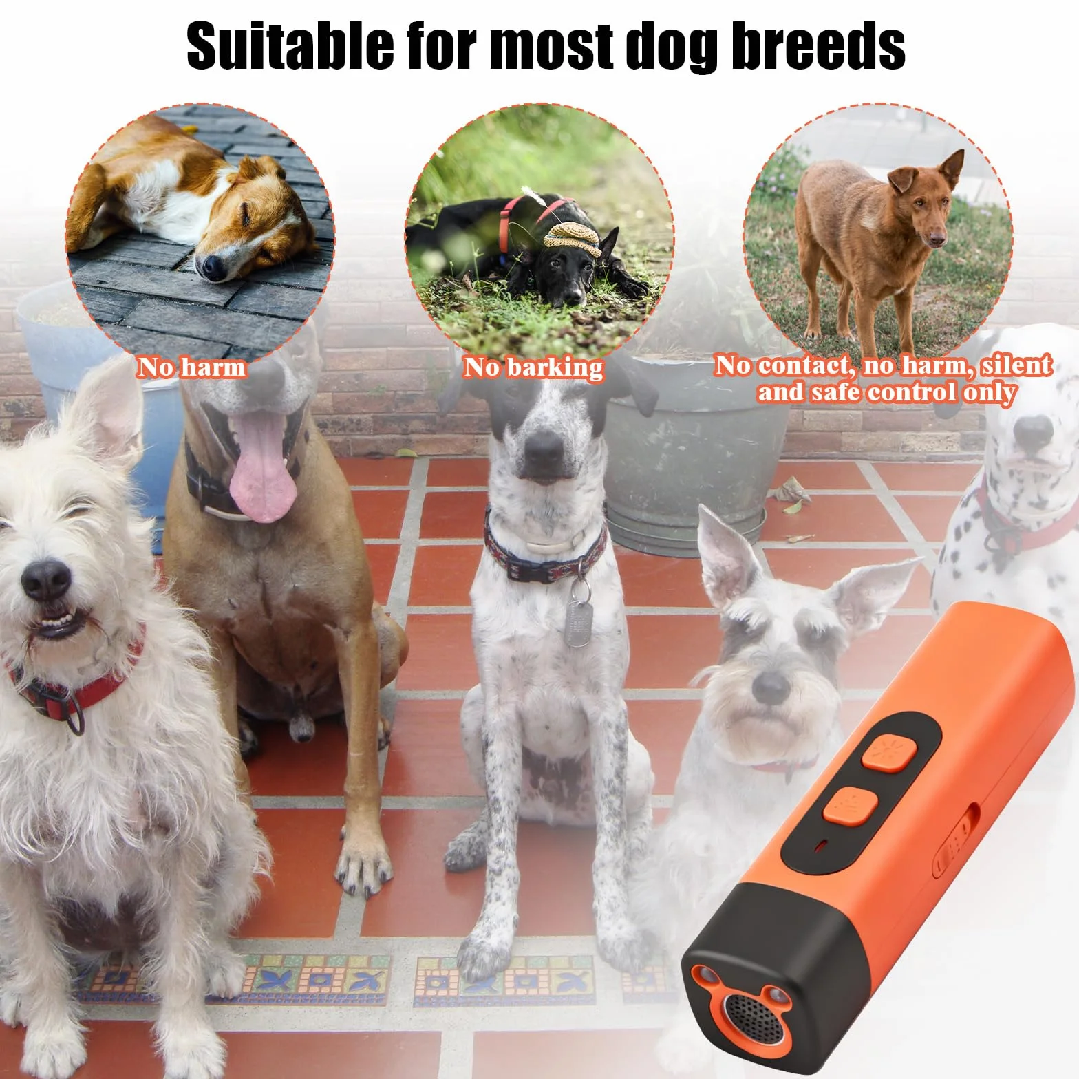 Ultrasuoni per Cani, Antiabbaio per Cani Ultrasuoni, Dispositivo Anti-Abbaiare con 3 Frequenze Regolabili con Torcia a LED, Scacciacani a Ultrasuoni per Cani Piccoli e Grandi