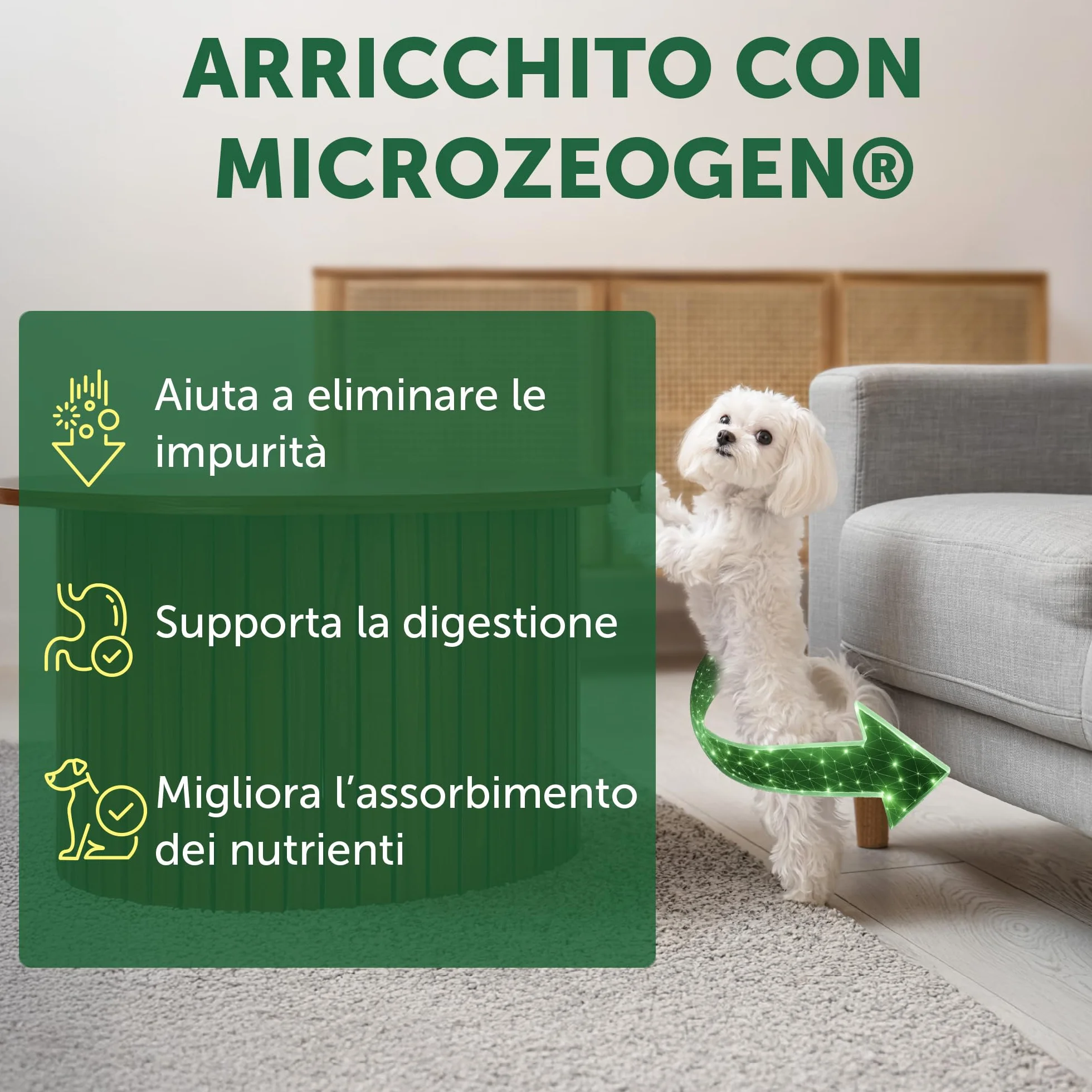 Nature's Protection Superior Care Cibo Secco Ipoallergenico Senza Cereali per Cani Adulti Razze Piccole e Mini 1,5 kg